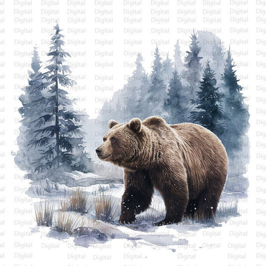 4 Bear in Winter Watercolor PNG, Bear Clipart, Printable Watercolor PNG, Digital Download, Silhouette, Trendy PNG, Winter Clipart